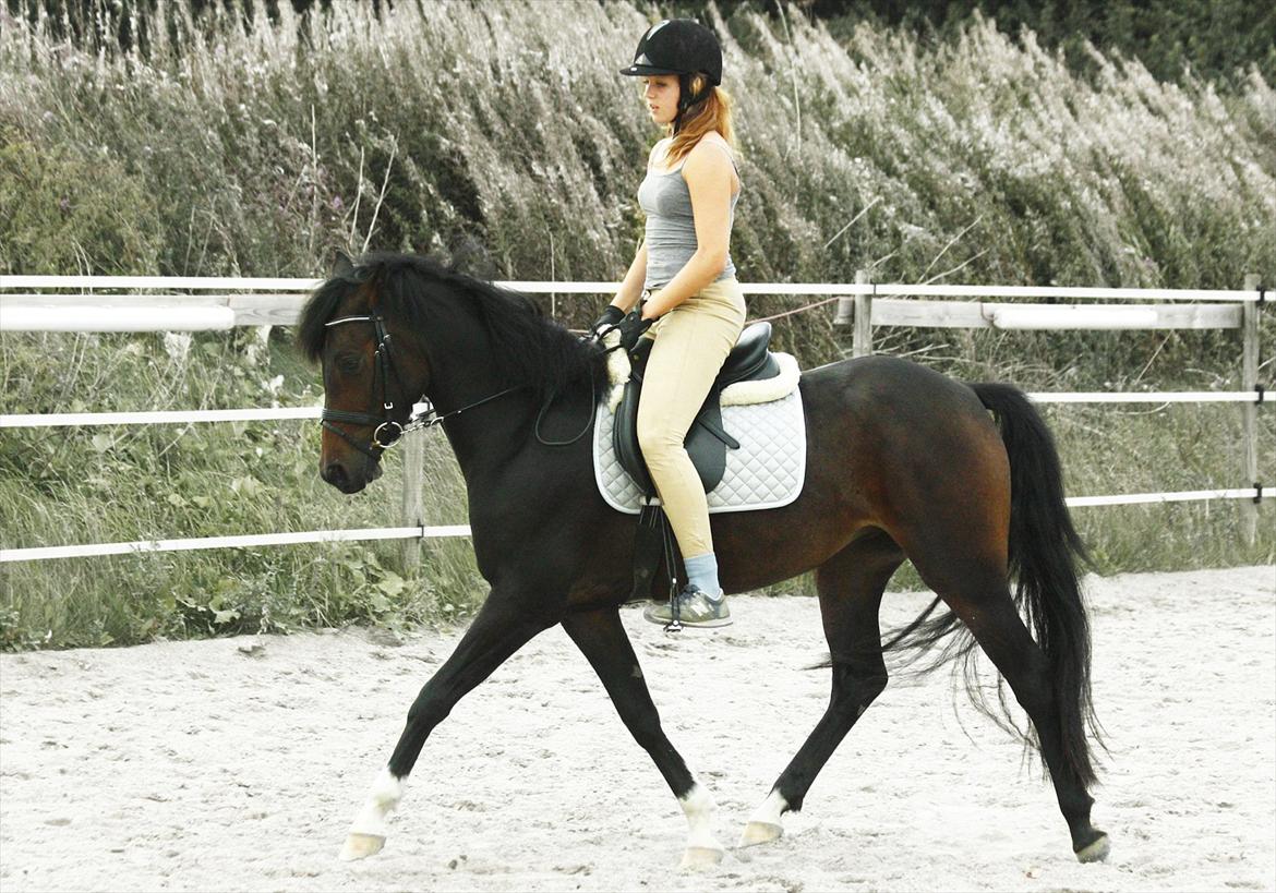 DSP | Vasehøjs Kasira | - [19] 26 august 2011 // happy :)) billede 13