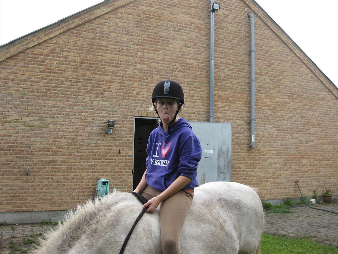 Anden særlig race Sally billede 9