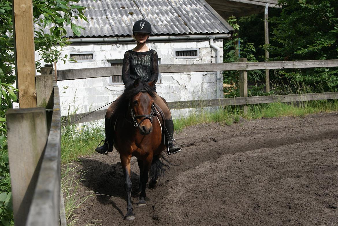 Anden særlig race Mia Maia billede 13