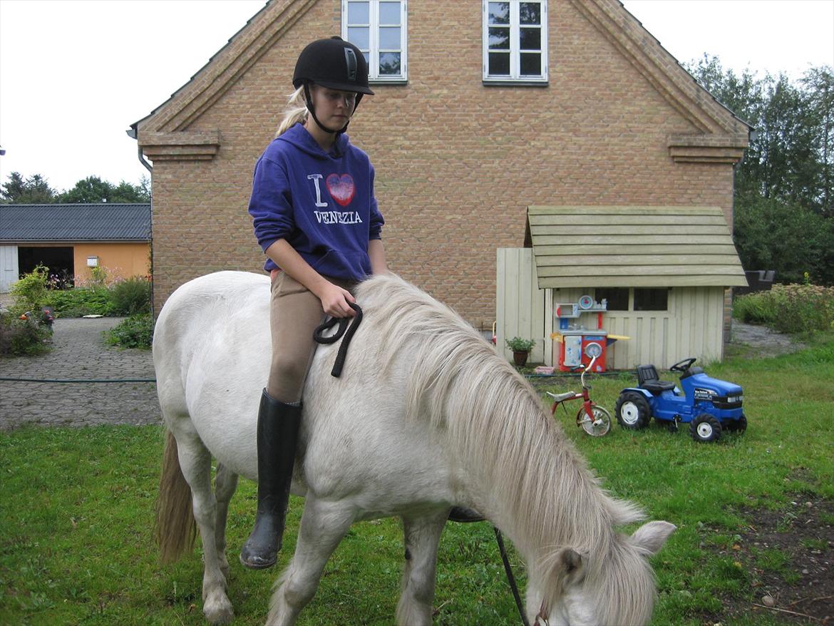 Anden særlig race Sally billede 10