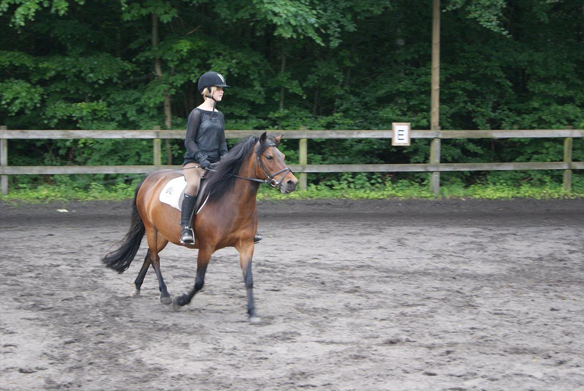 Anden særlig race Mia Maia billede 14