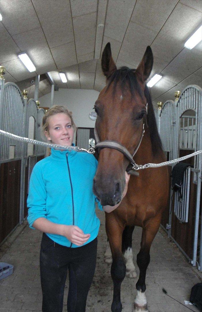 Anden særlig race La Estralja De Maikon (Lucky) passede solgt og sav - trænig d. 27-08/2011
undskyld kvaliteten
fotograf: emma larsen billede 11