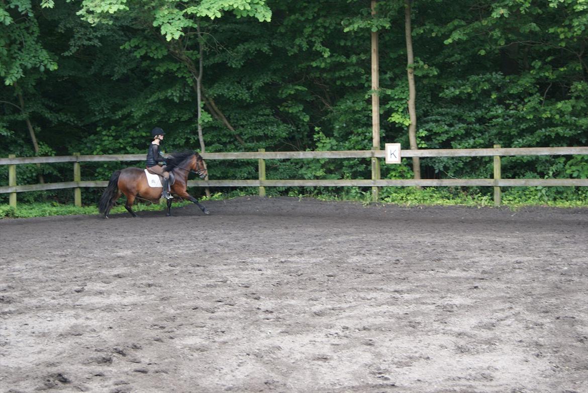 Anden særlig race Mia Maia billede 15