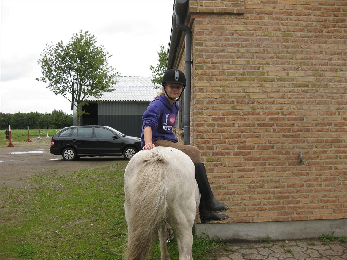 Anden særlig race Sally billede 13