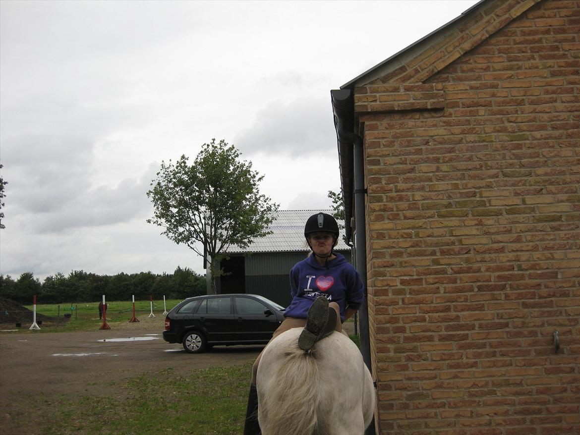 Anden særlig race Sally billede 14