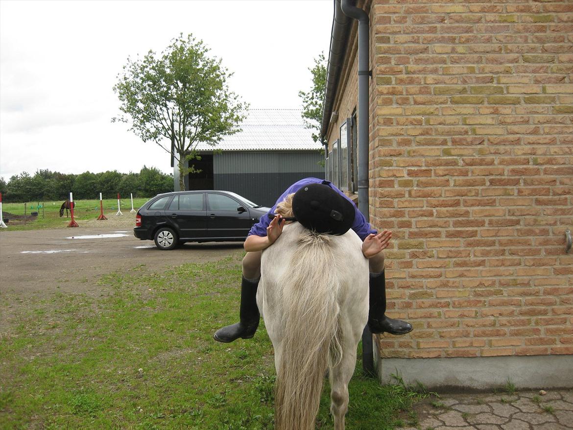 Anden særlig race Sally billede 15