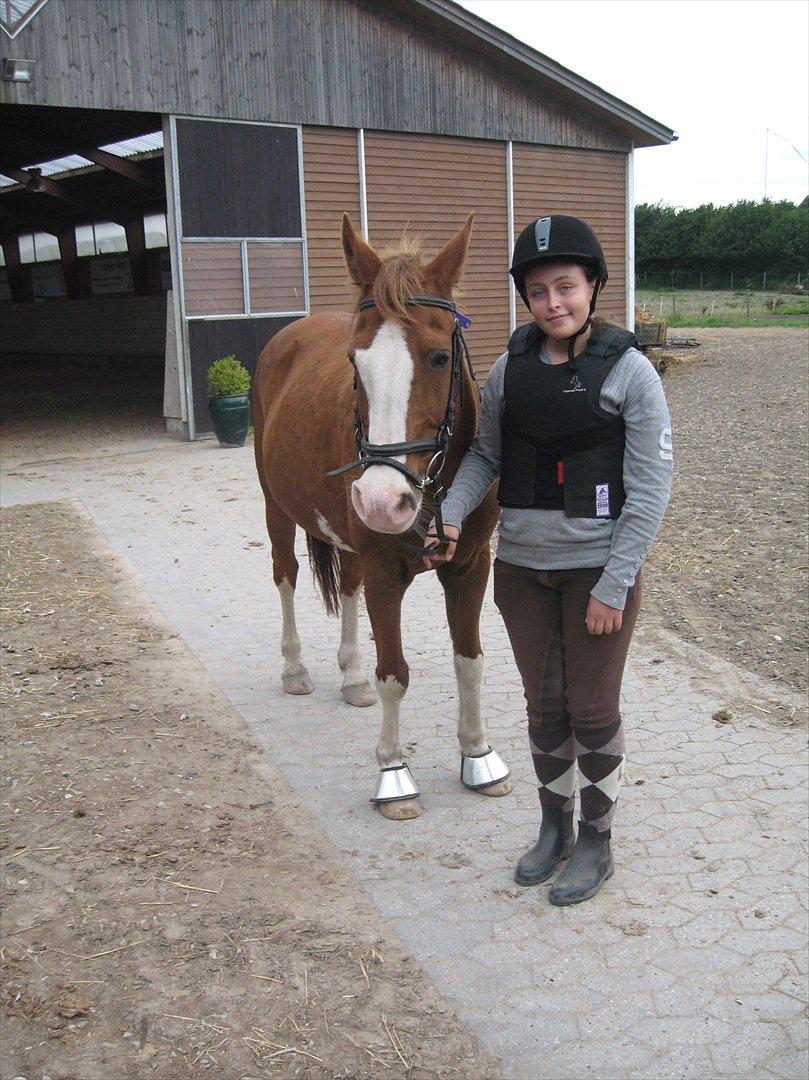 DSP Monty. <3  - Der har vi lige været ude at ride. (: billede 5