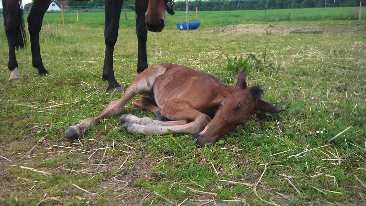 Traver Wanga - ZZZzzz billede 8