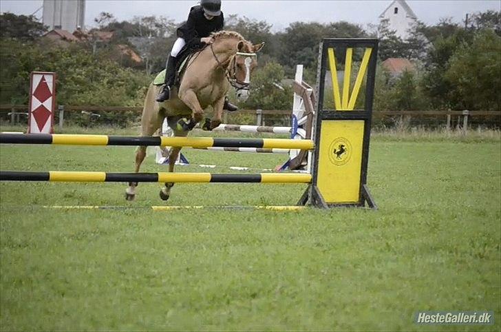 Anden særlig race Buster (Goise) - Mig og Bølle i en LB højde omspringning. i Guldager. (= 
aug. 2011

Taget af: MOR. billede 13