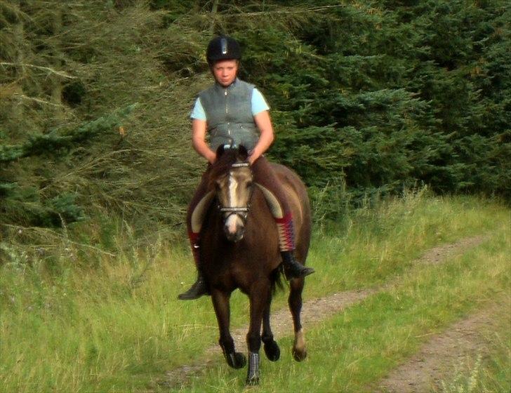 DSP Tovdal´s Anais Anais - Pony fræs på markvejen uden sadel xD billede 11
