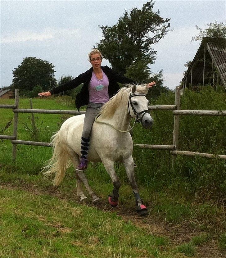 Anden særlig race Bandit "den elskede" :D <3 - Billed 10. Galop uden hænder ;D
 billede 10