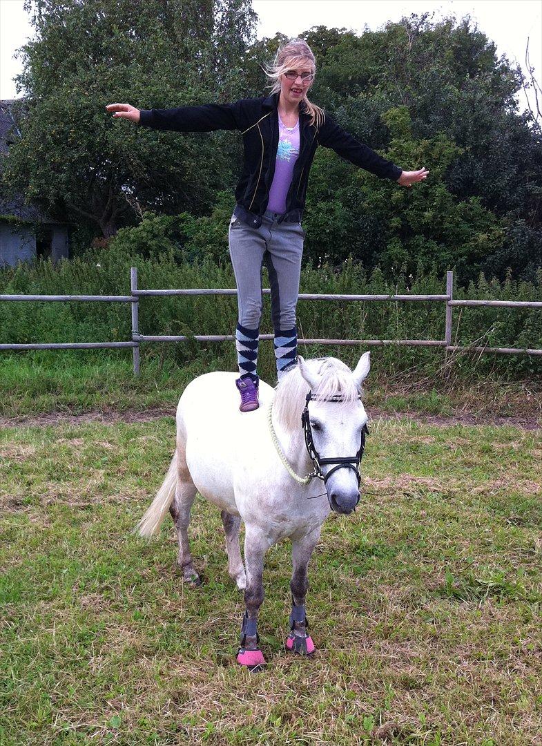 Anden særlig race Bandit "den elskede" :D <3 - Billed 2. Jeg stoler på dig Bandit ;D
 billede 2