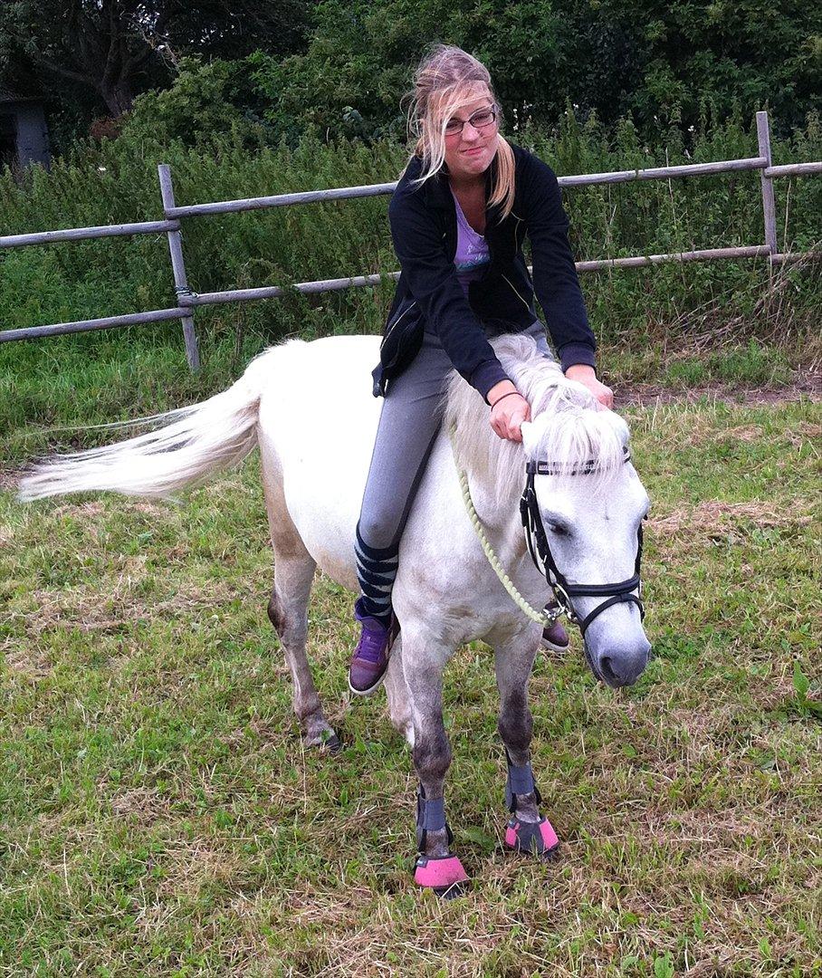 Anden særlig race Bandit "den elskede" :D <3 - Billed 15. Fjolle Billed xP billede 15