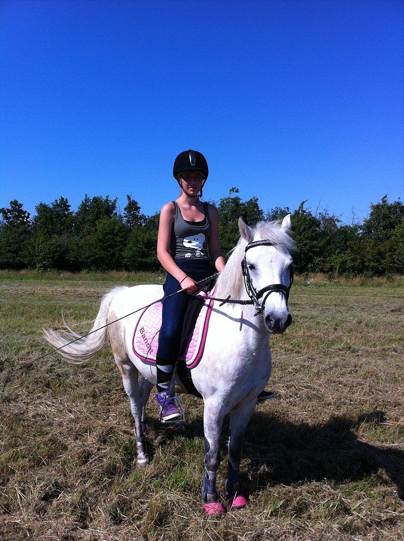 Anden særlig race Bandit "den elskede" :D <3 - Billed 16. Dressur træning på marken (;
 billede 16