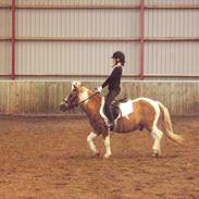 Anden særlig race Mads