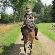 Anden særlig race Cinille