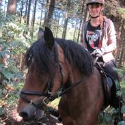 Anden særlig race Cinille