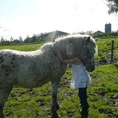Anden særlig race Cassiopeia