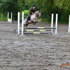 Knabstrupper Belmondo 