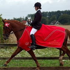 Anden særlig race | Gucci *Bumle*