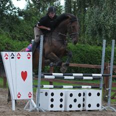 Holstener Wajes Capice (Følle)