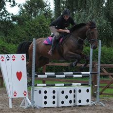 Holstener Wajes Capice (Følle)