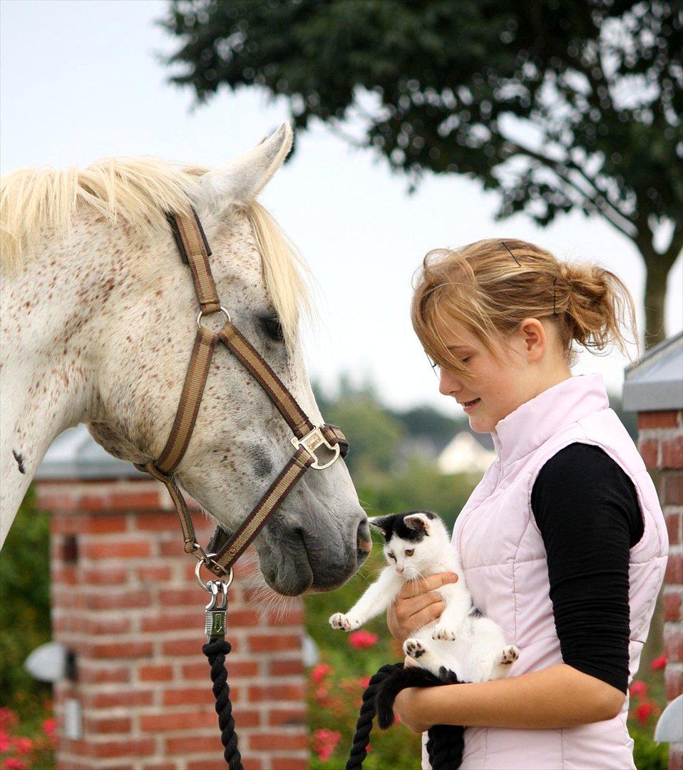 Anden særlig race White Boy - White Boy - 25. august 2011. billede 1