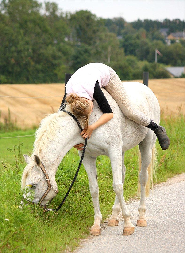 Anden særlig race White Boy - White Boy - 25. august 2011. billede 16