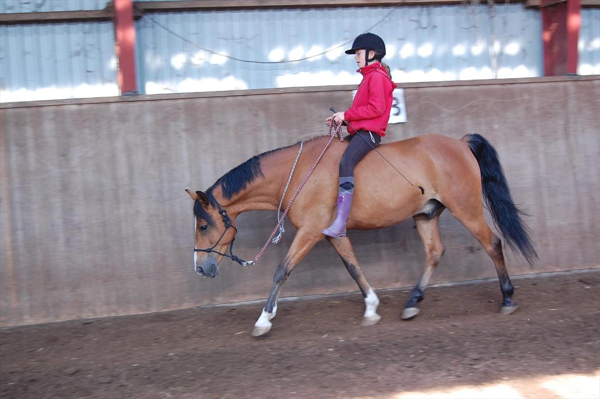 DSP Bæklunds Lombard billede 6