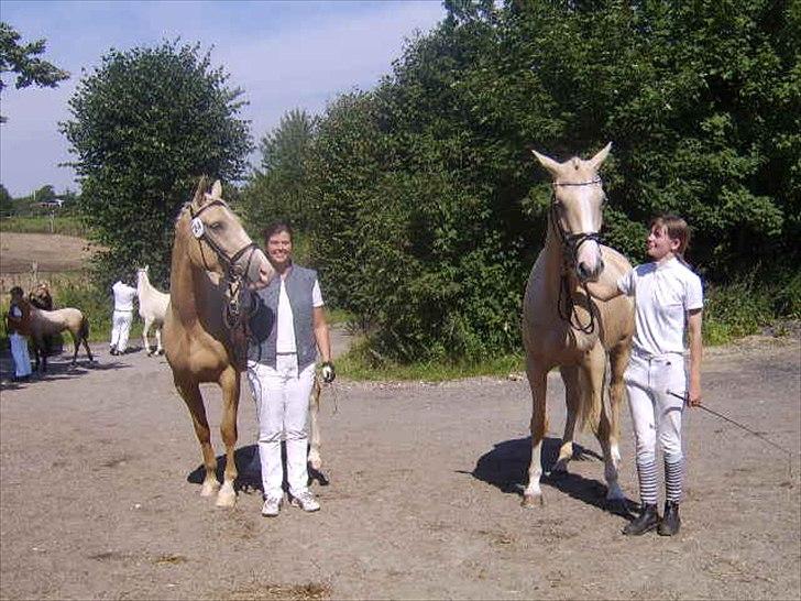 Palomino Bell Feodora billede 13