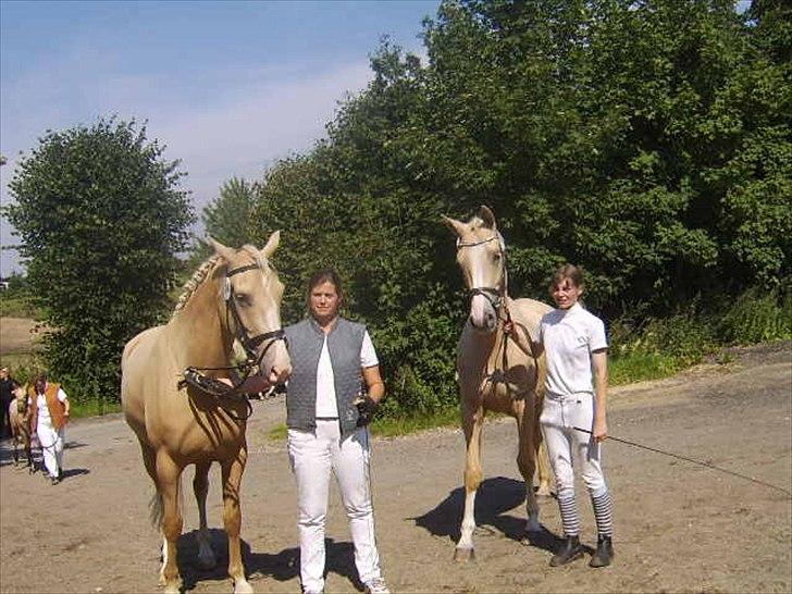 Palomino Bell Feodora - Feo og Fleur til PSA kåring billede 12