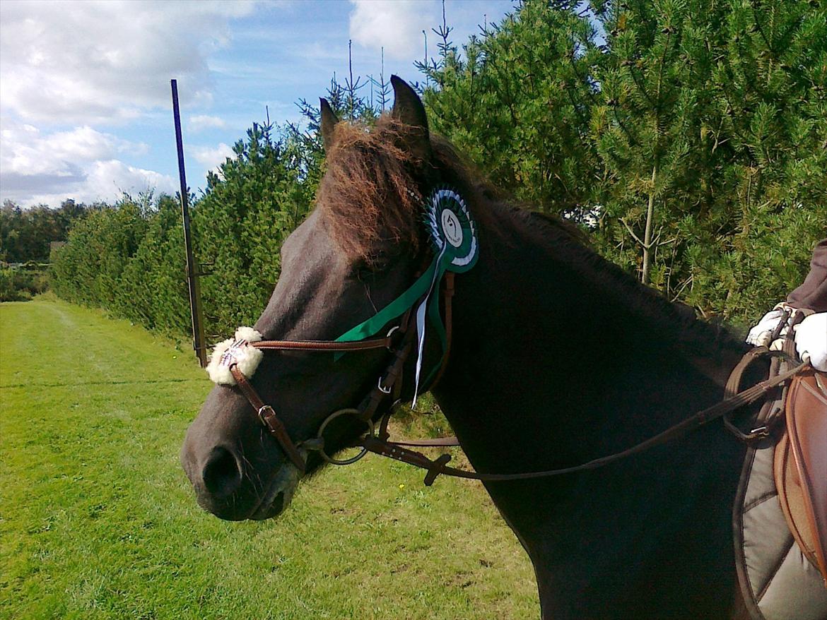 Anden særlig race Garnis - Stævne LD <3
August 2011 <3
Nr 3 ud af 10 <3 billede 1