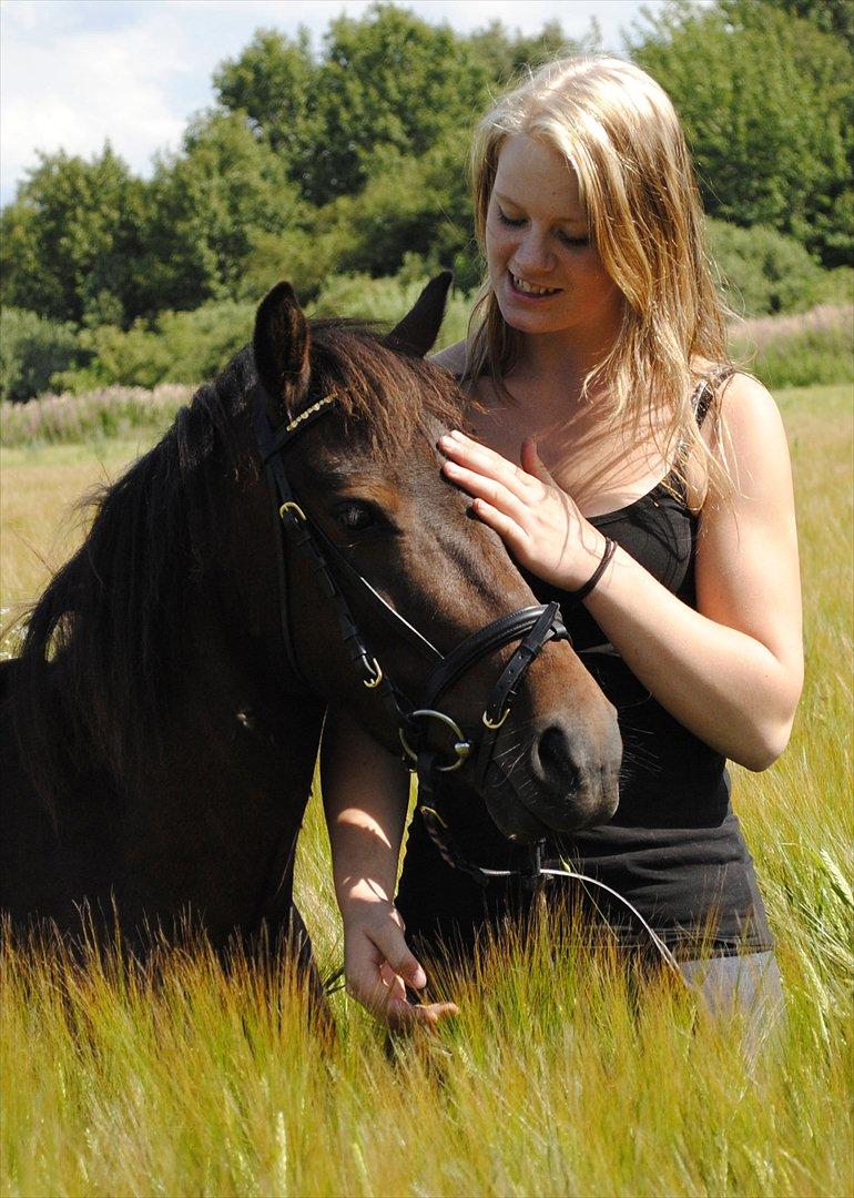 Anden særlig race Herkules [Trænede] billede 13
