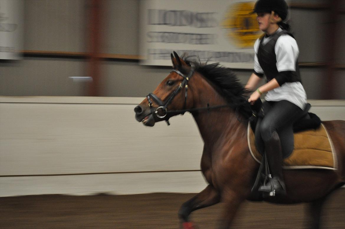 New Forest Angelina Bay {my'girl}  billede 7