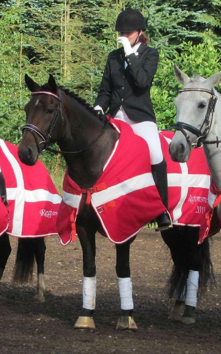 Anden særlig race Miss Purple R.I.P et evigt savn <3 - 1 plads i regionsmester i hold red LC3 til 67,50% 2011<3<3:* billede 4