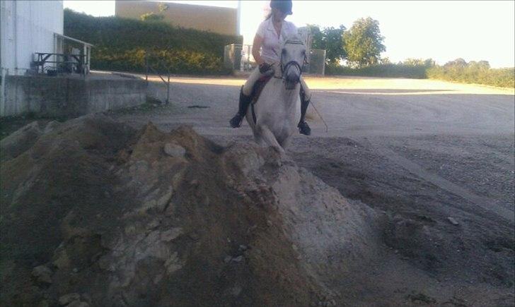 DSP Mascot-My soulmate<3 - Vi bestiger bjerget <3
 billede 12