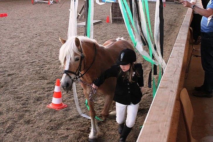 Haflinger Kim Van de mini Hoeve - Agility 2011!  billede 11