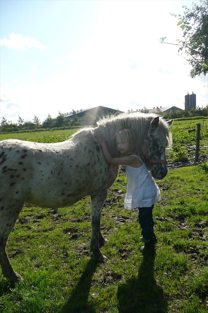 Anden særlig race Cassiopeia billede 1