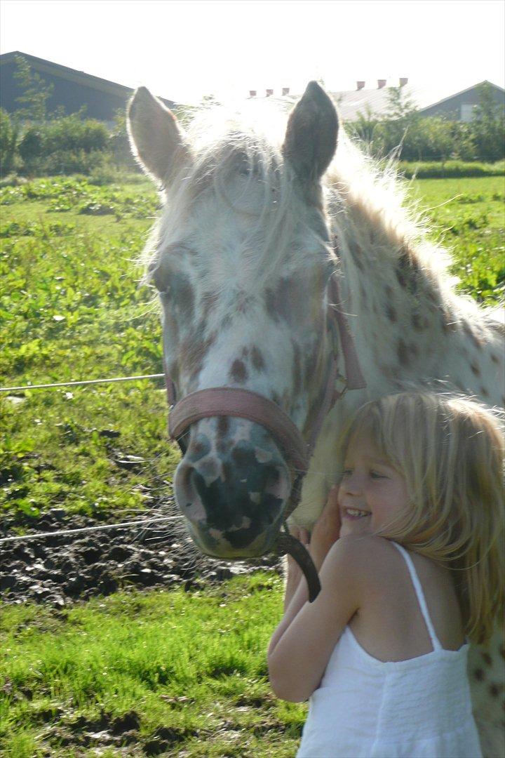 Anden særlig race Cassiopeia billede 4