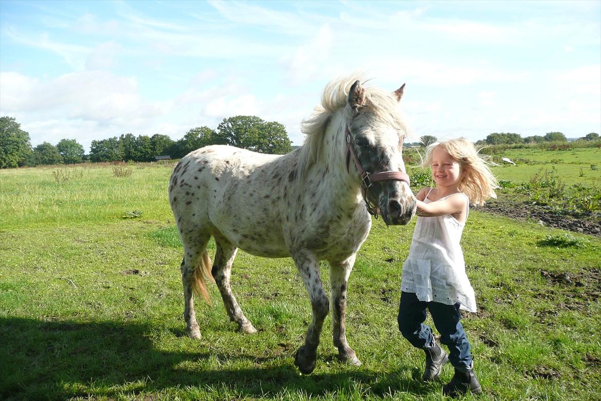 Anden særlig race Cassiopeia billede 5