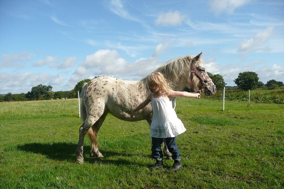 Anden særlig race Cassiopeia billede 9