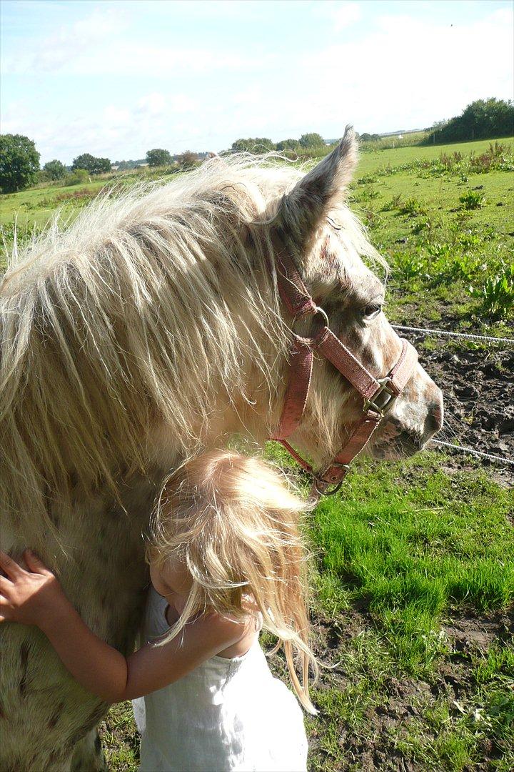 Anden særlig race Cassiopeia billede 10