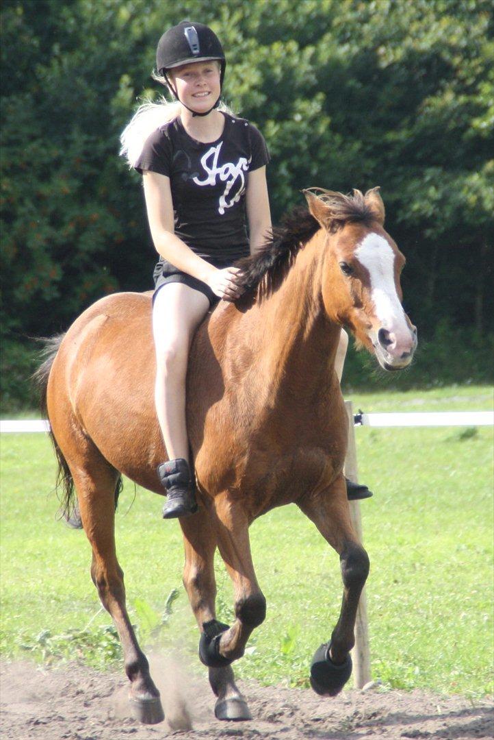 Anden særlig race Lady -  sammen kan vi alt<3 billede 20