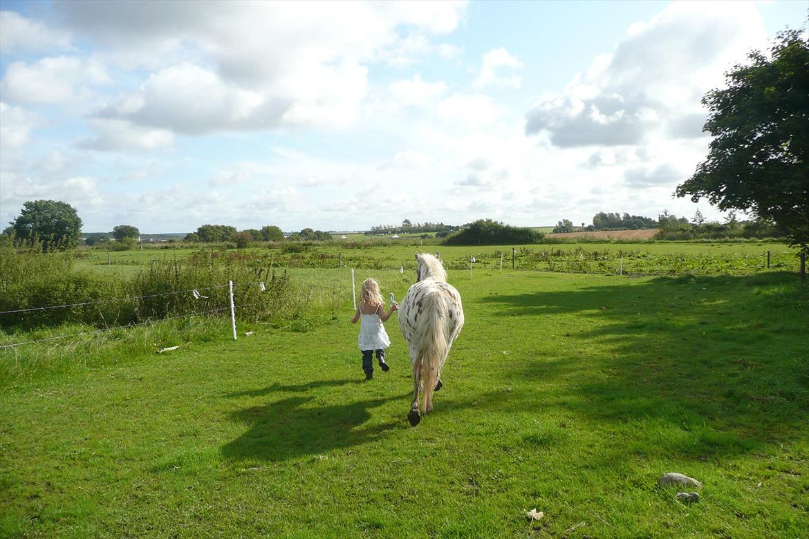 Anden særlig race Cassiopeia billede 16
