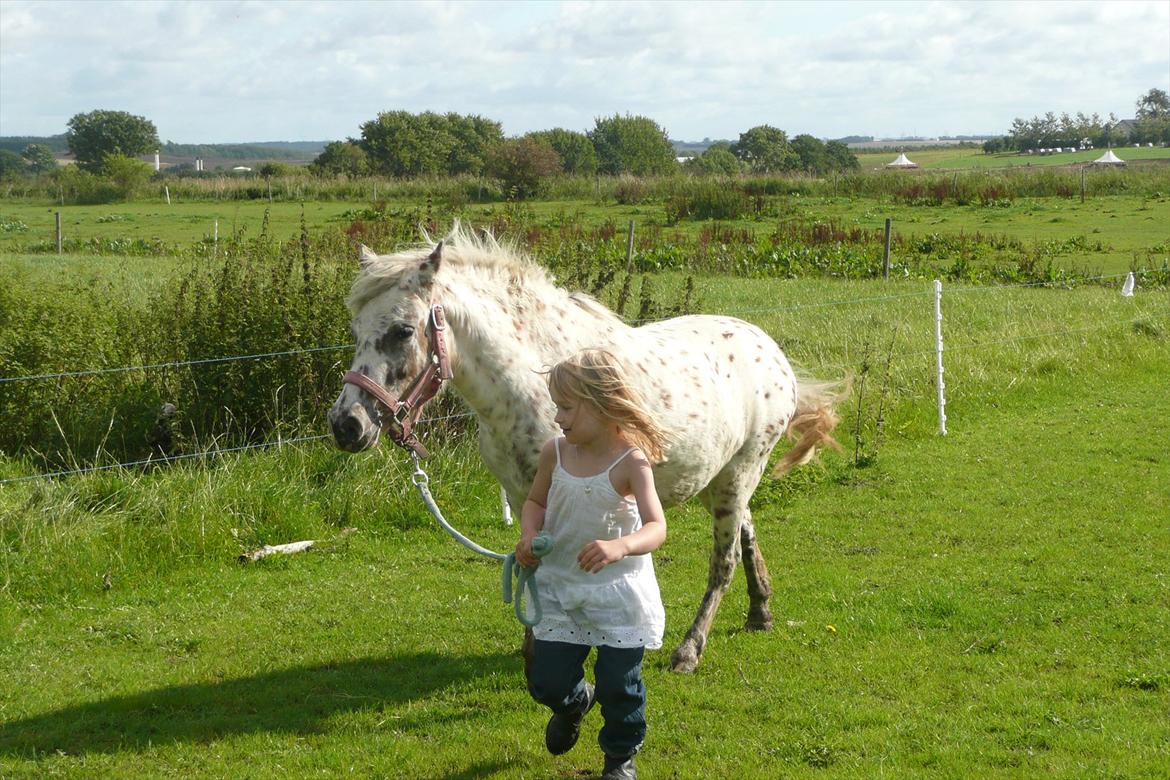 Anden særlig race Cassiopeia billede 17