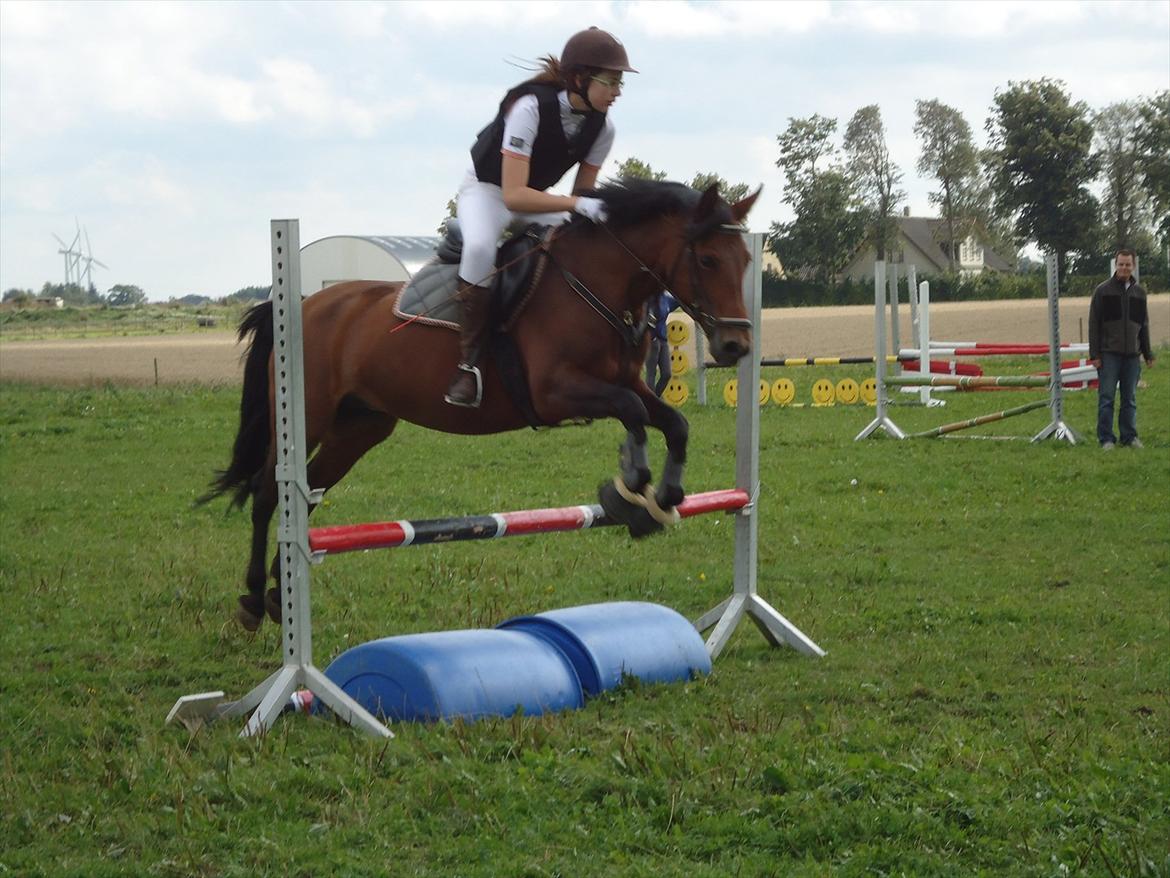 Anden særlig race Miss Topsy  - Springstævne, LC, 28. august 2011 :) billede 2