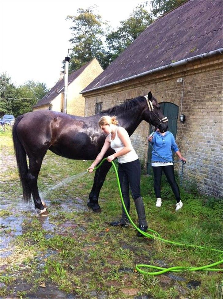 Anden særlig race Gabby - så bliver man lige vakset hvor er det dejligt <3:) billede 12