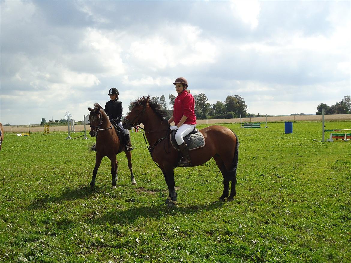 Anden særlig race Miss Topsy  - Springstævne, præmieoverrækkelse, 28. august 2011 :) billede 7