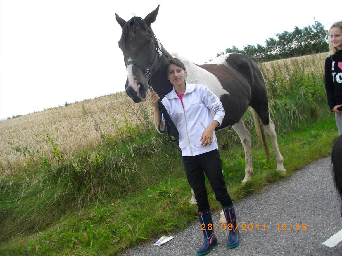 Anden særlig race Figaro billede 3