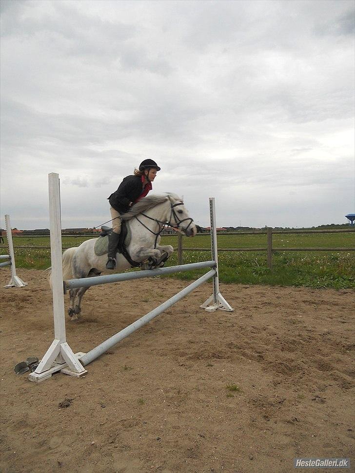 Anden særlig race Smukke Peter Pan <3 - Første gang jeg springer 85cm på skatten <3 billede 6